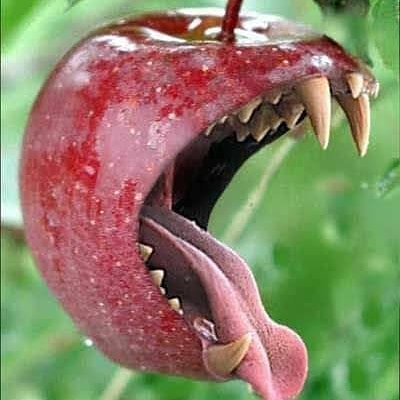 Je vais pas te manger ! 😋