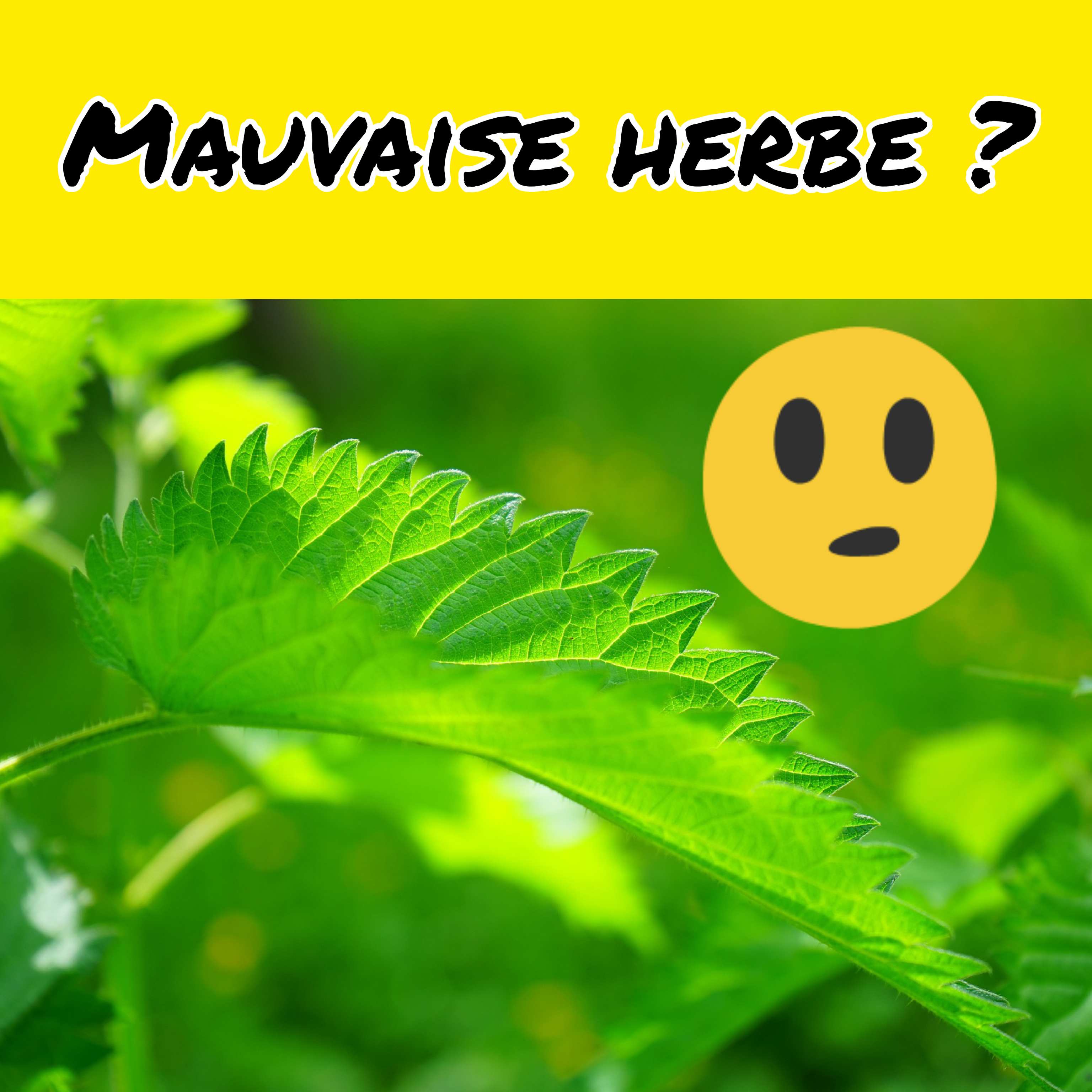 Émotions négatives et mauvaises herbes